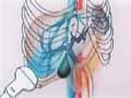 cl-11 Ultrasound Test 2