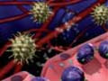 FM-12 Immunologic Diseases