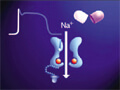 FY-01 Cardiovascular Agents