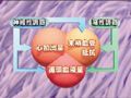 FY-02 Anti-Hypertensive Agents and Others