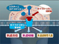 FY-04 Pulmonary Agents