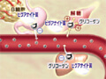 FY-06 Metabolic Agents