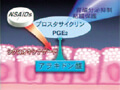 FY-07 Anti-Inflammatory and Immune Agents