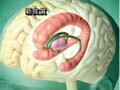 WT-02 Acquisition of External Information and Psychiatric Function