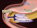 WT-06 Intake and Advantage of Nutrition