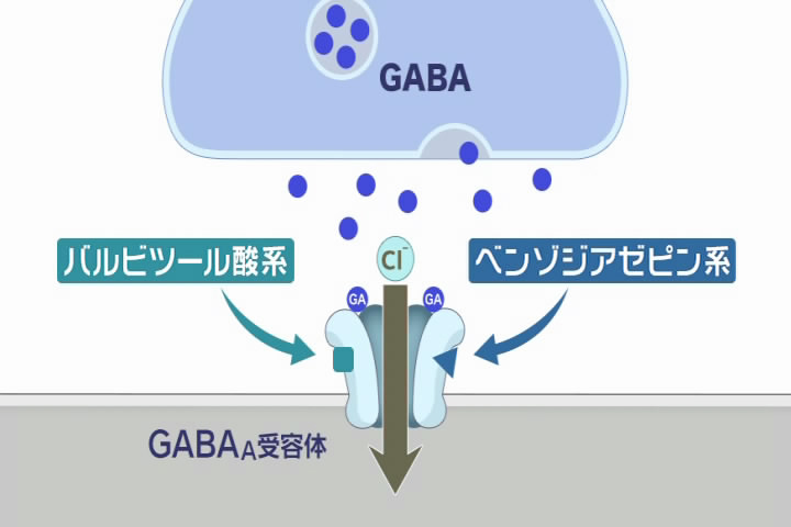 医学映像教育センター