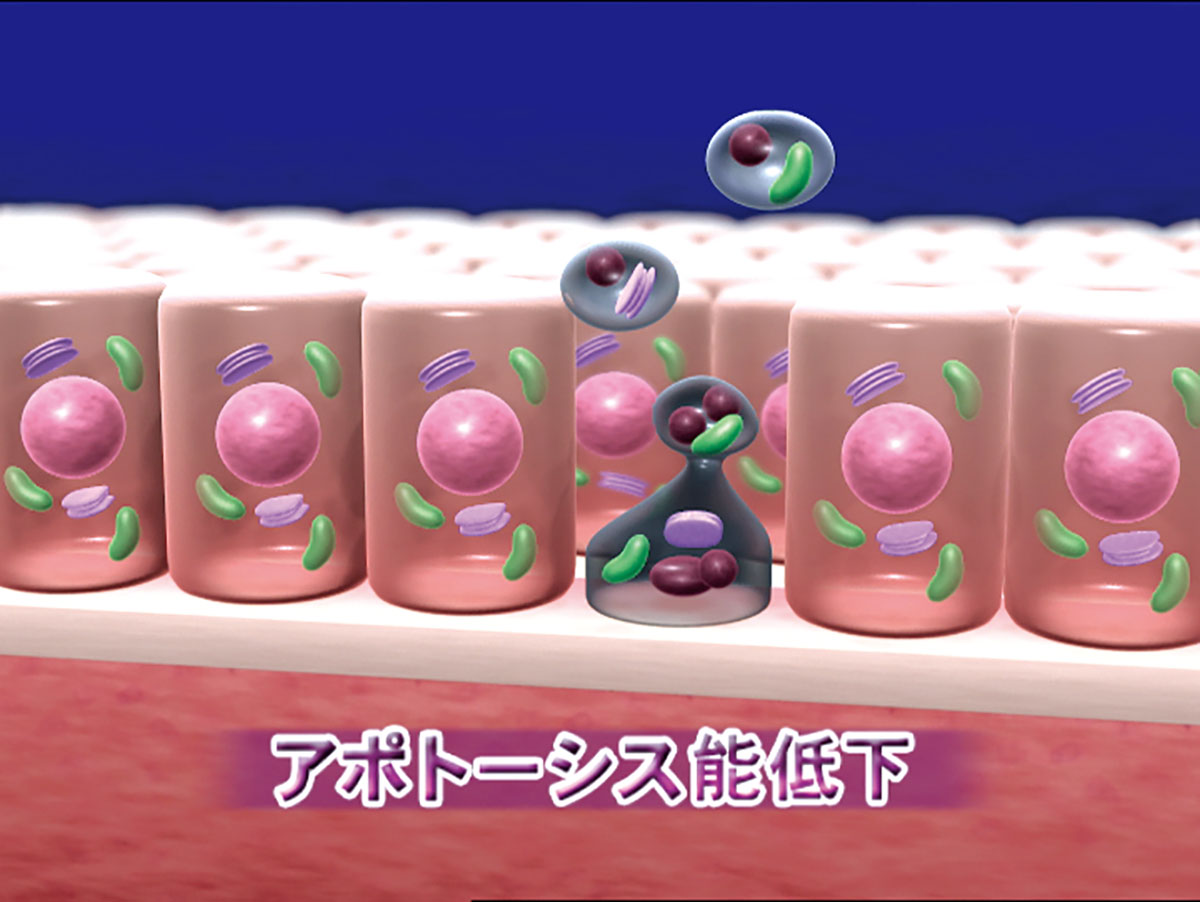 各巻の番組イメージ