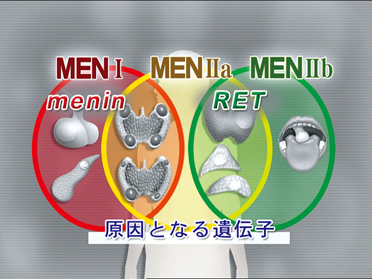 各巻の番組イメージ