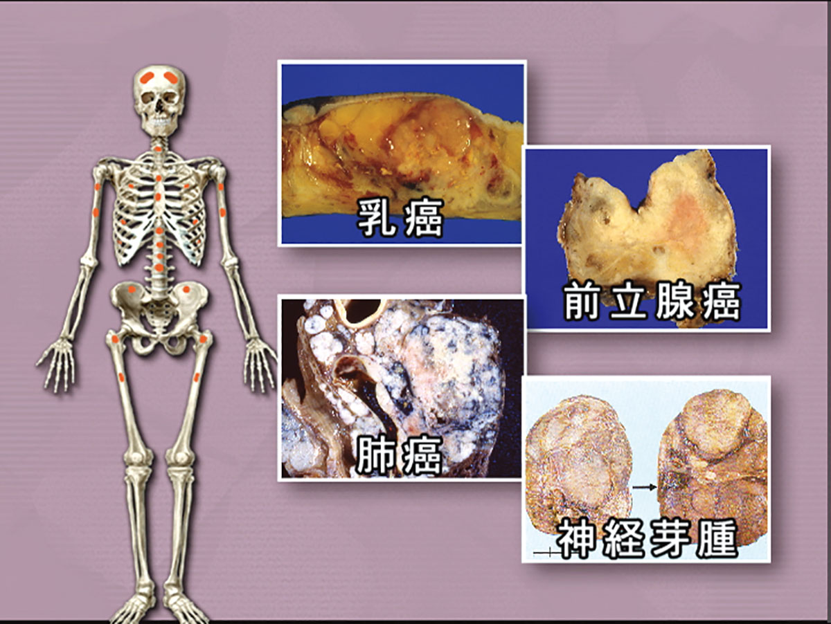 各巻の番組イメージ