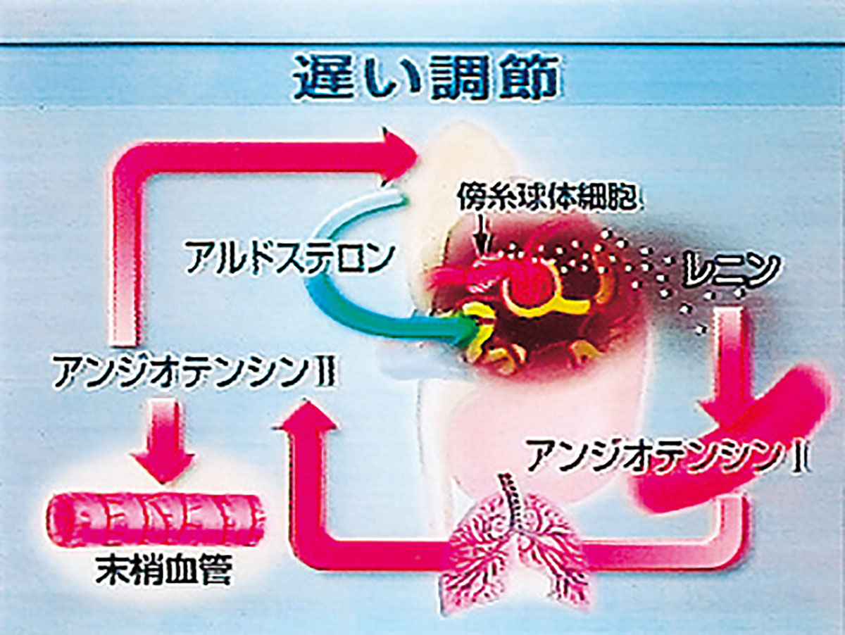 各巻の番組イメージ