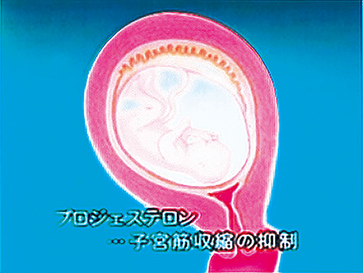 各巻の番組イメージ