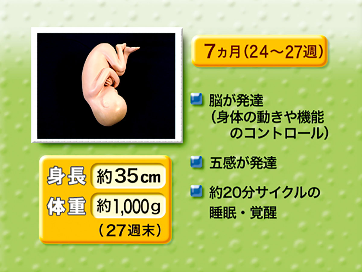 各巻の番組イメージ