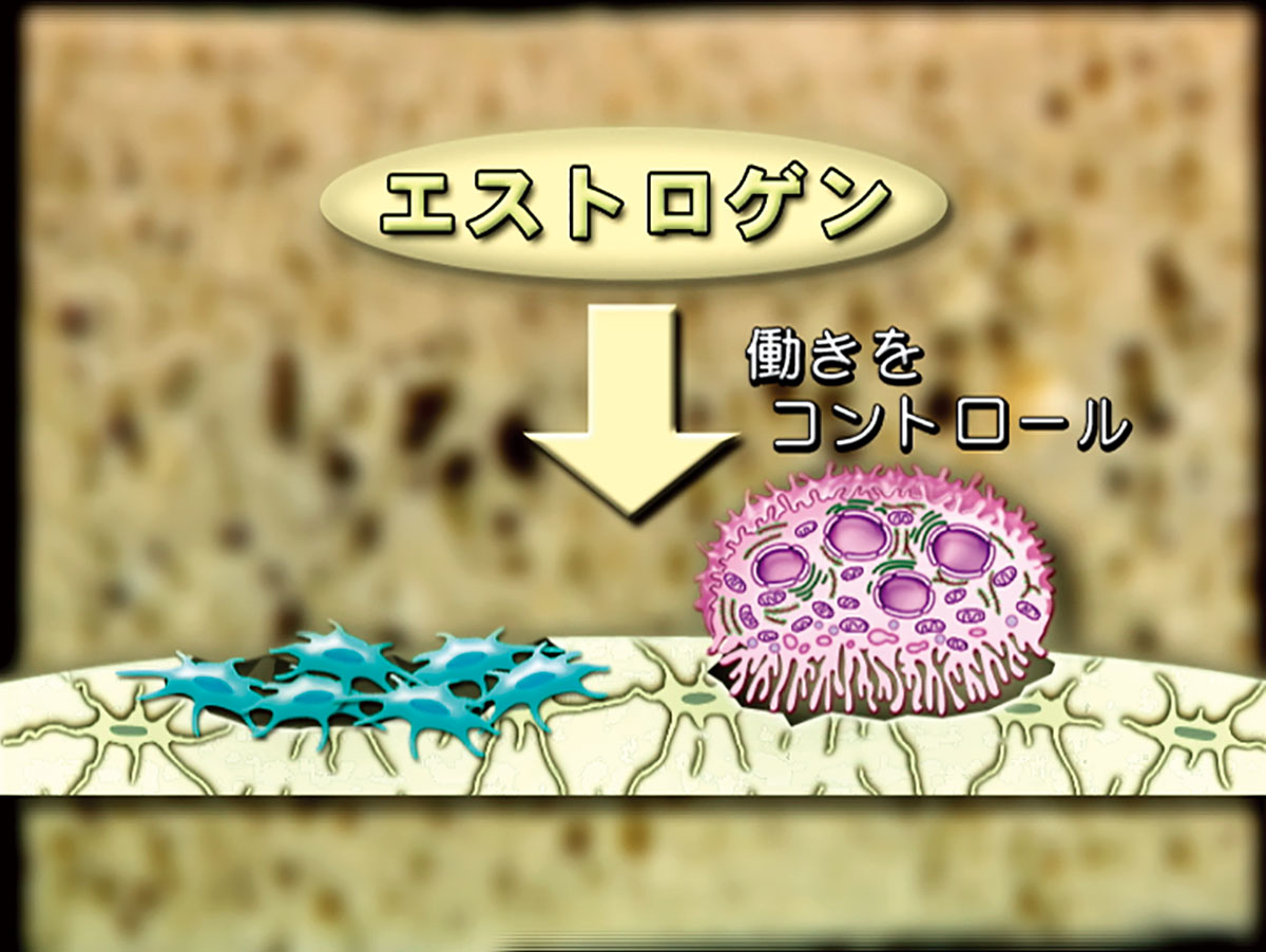 各巻の番組イメージ