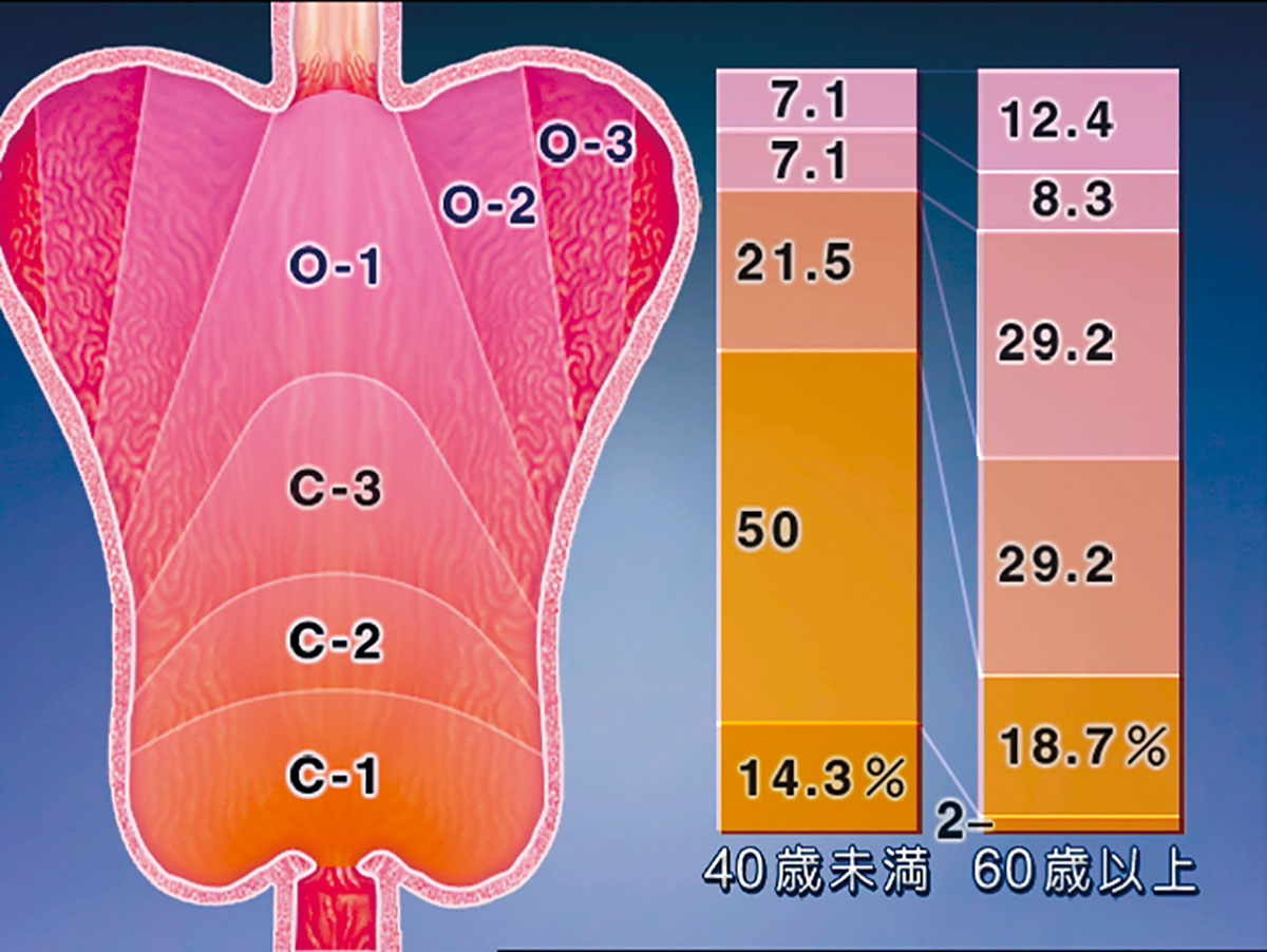 各巻の番組イメージ