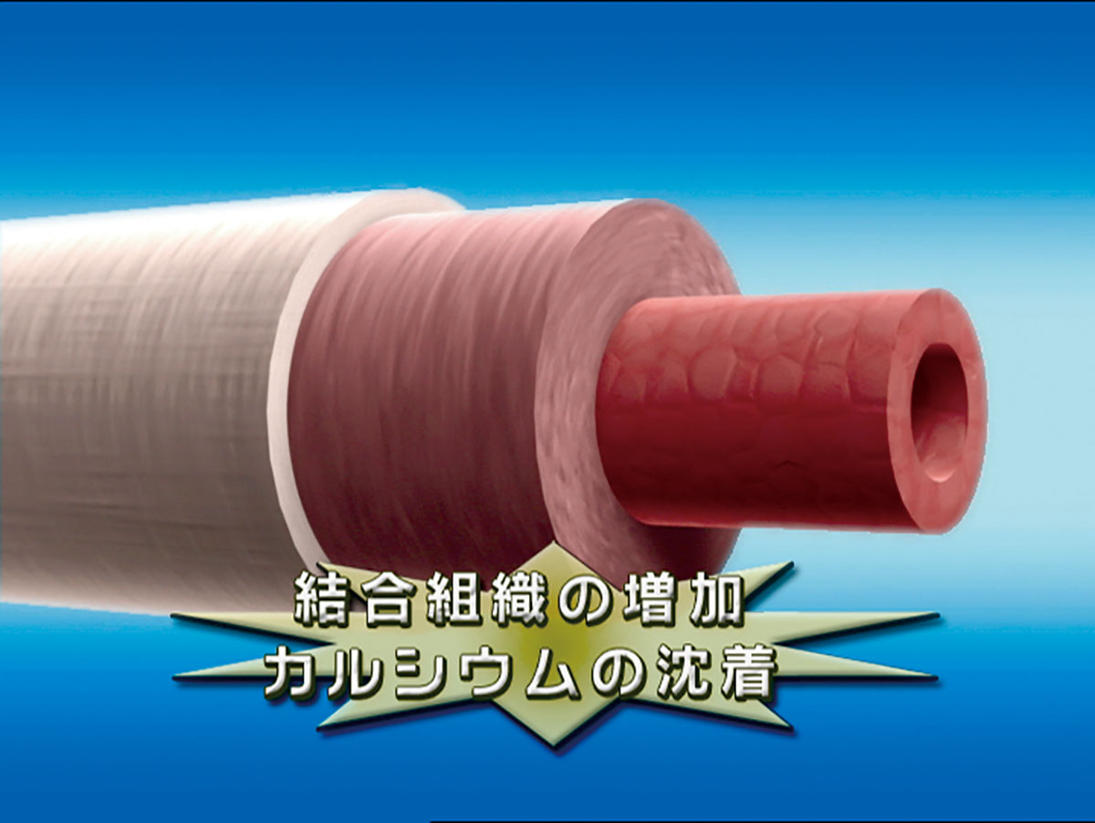 各巻の番組イメージ