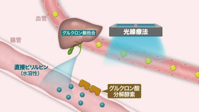 各巻の番組イメージ