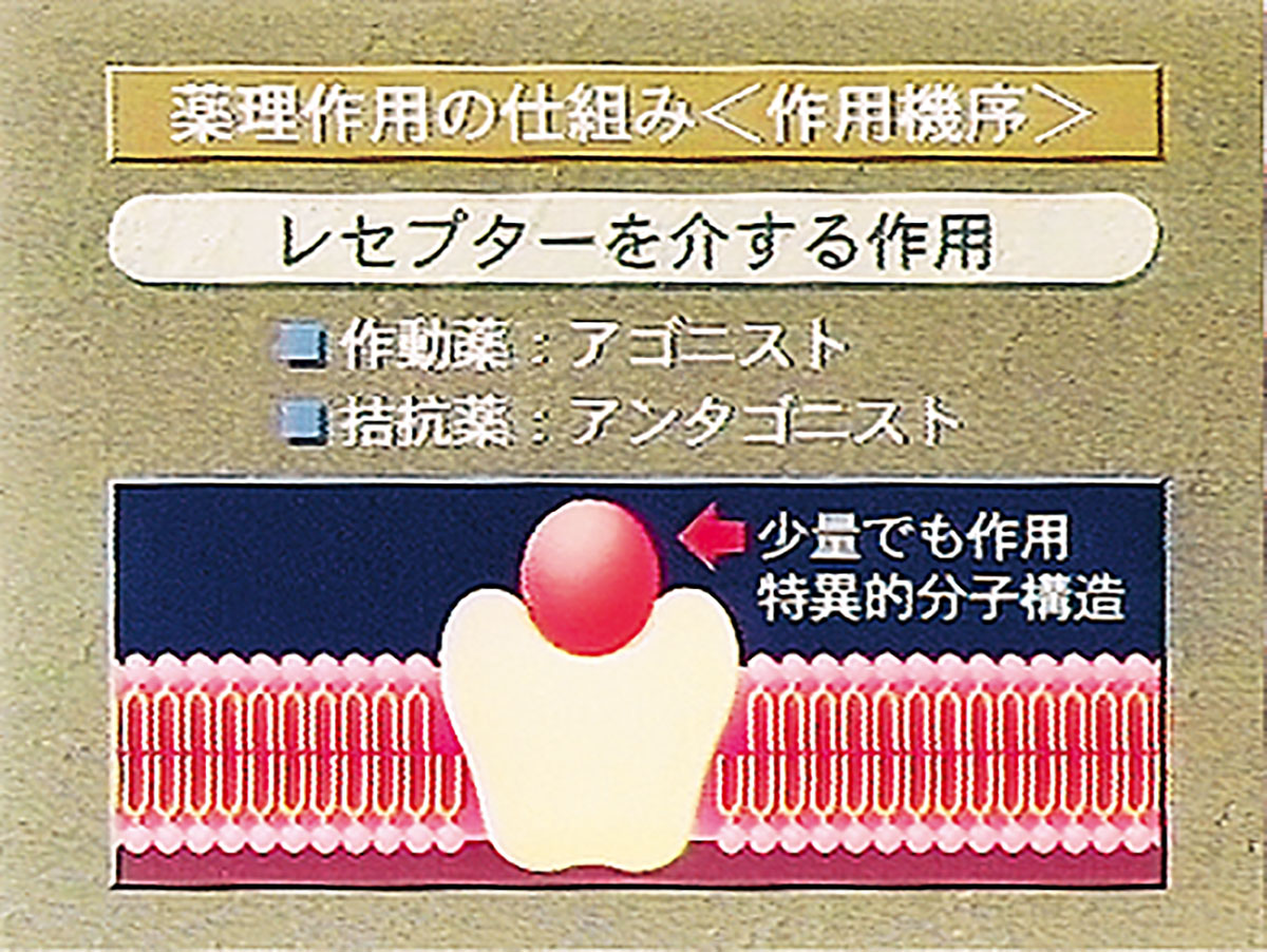 各巻の番組イメージ