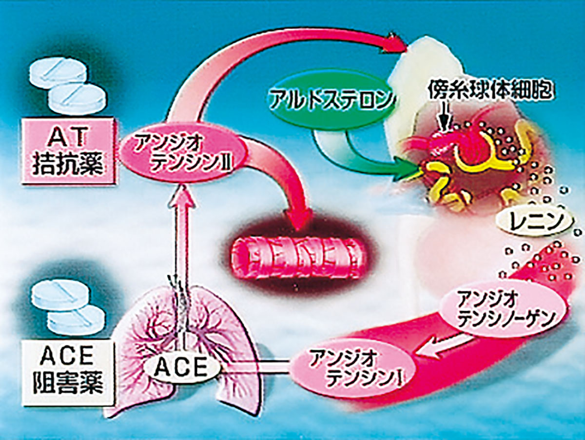 各巻の番組イメージ