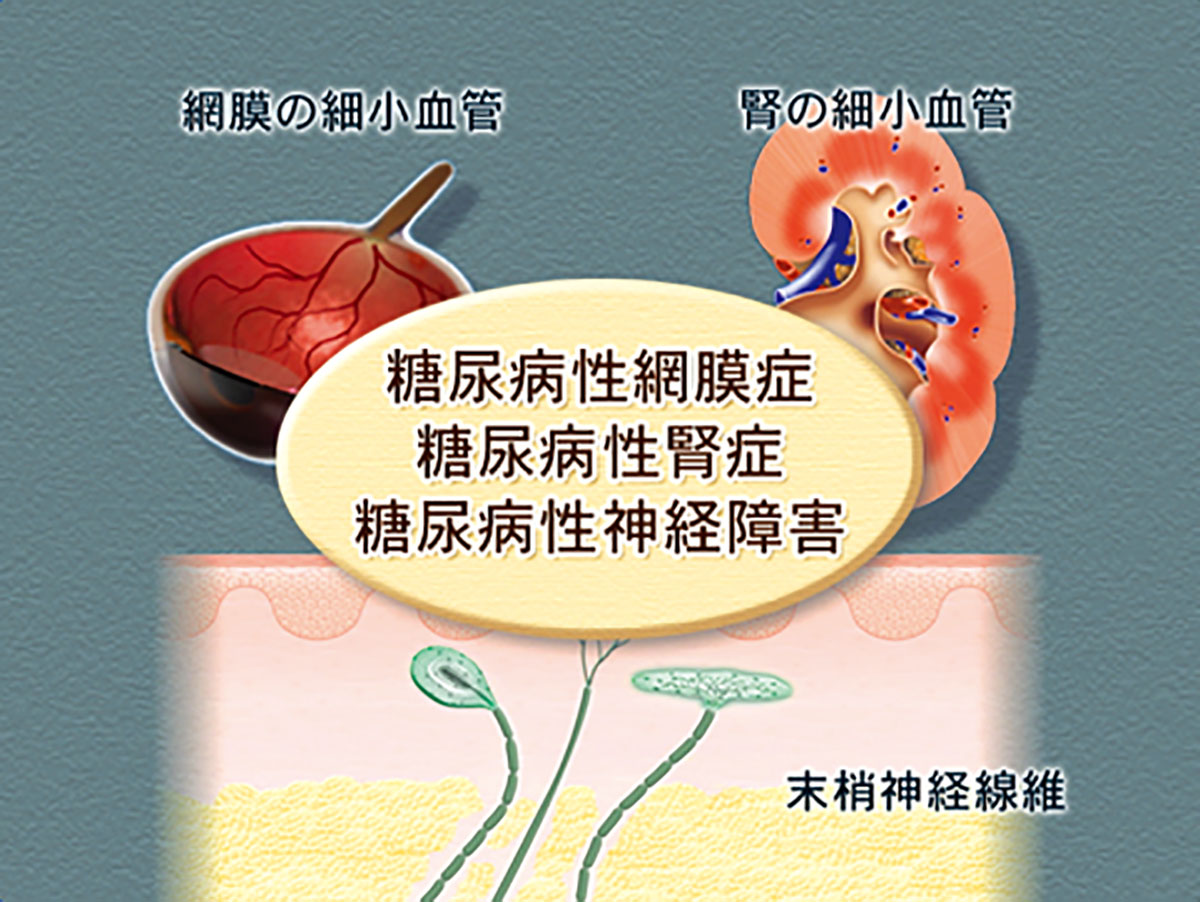 各巻の番組イメージ