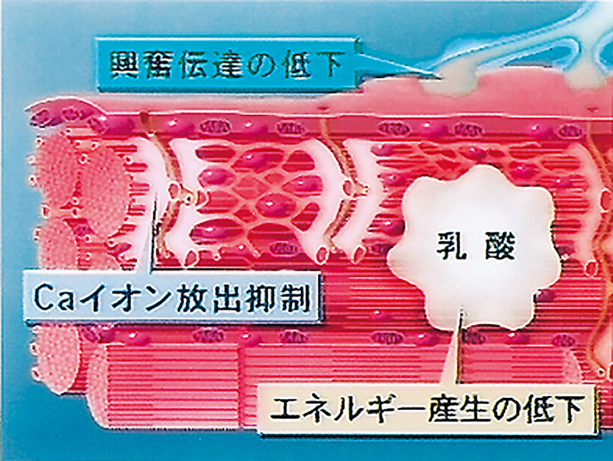 各巻の番組イメージ