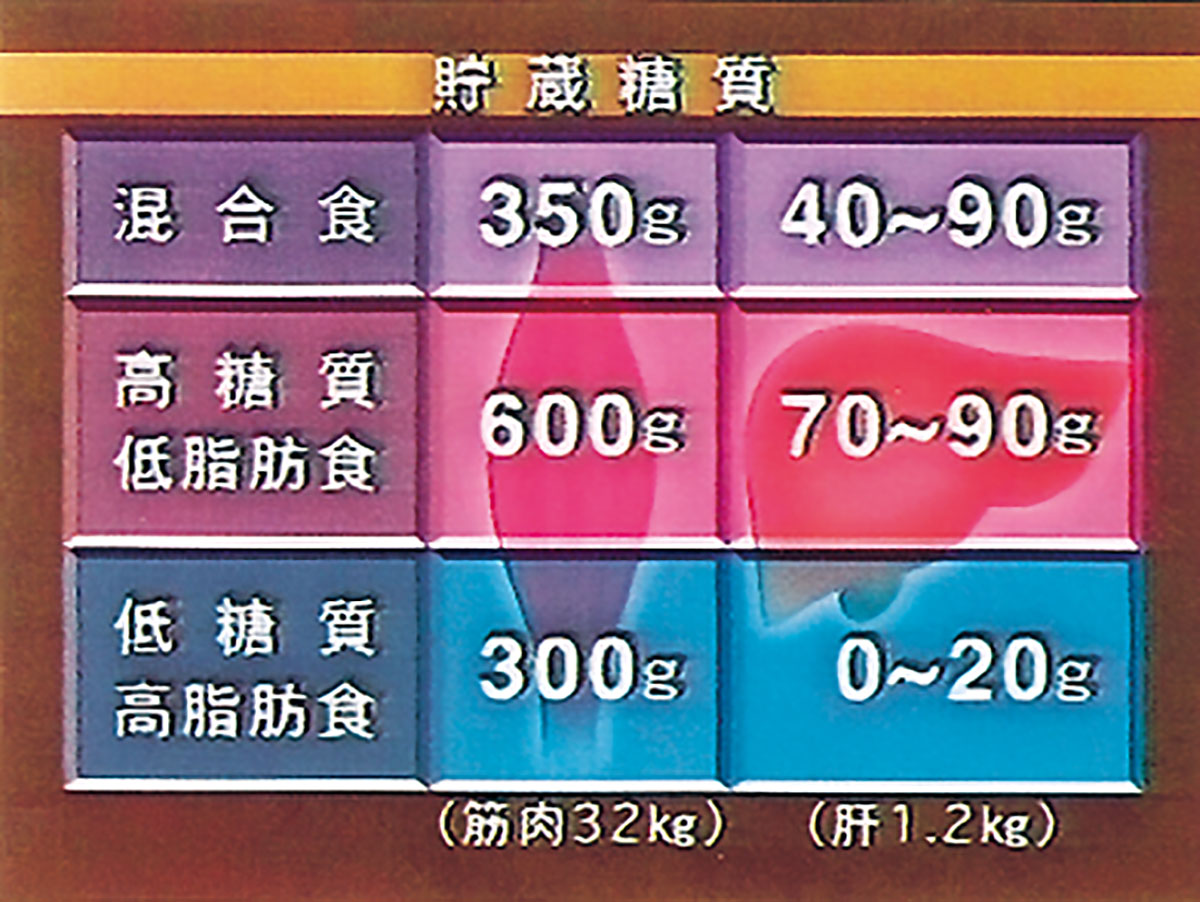 各巻の番組イメージ