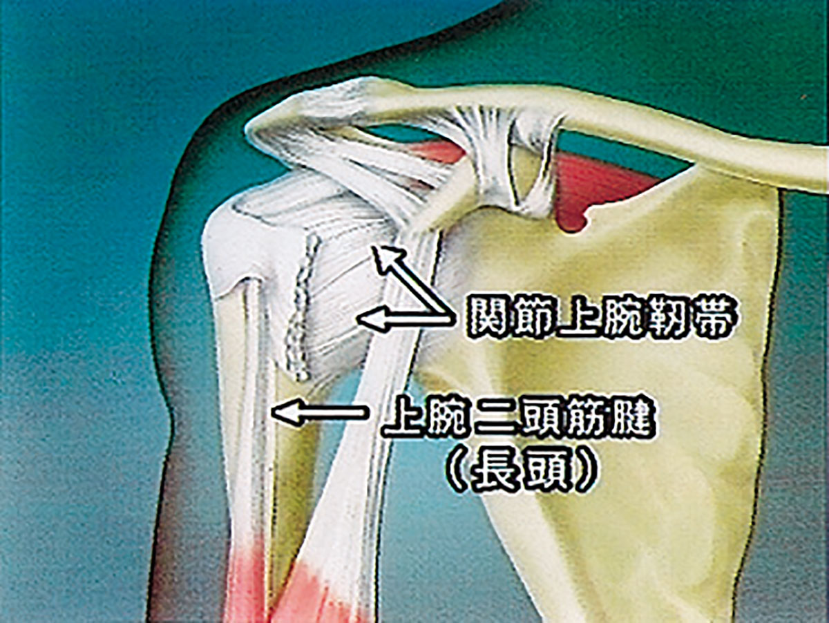 各巻の番組イメージ