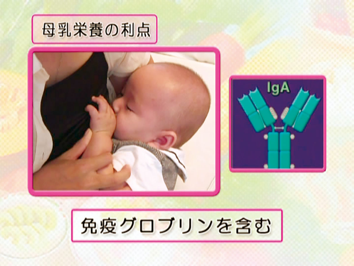 各巻の番組イメージ