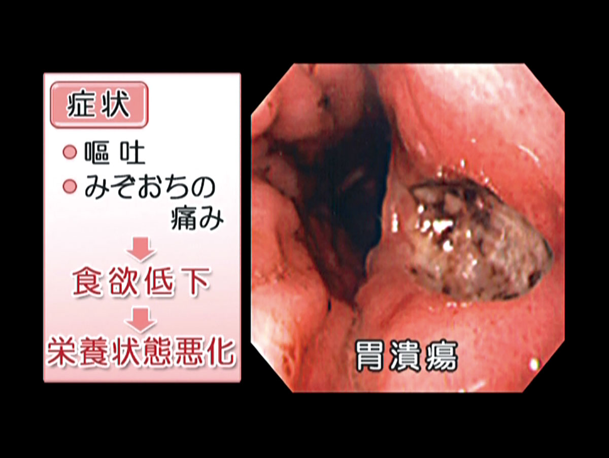 各巻の番組イメージ