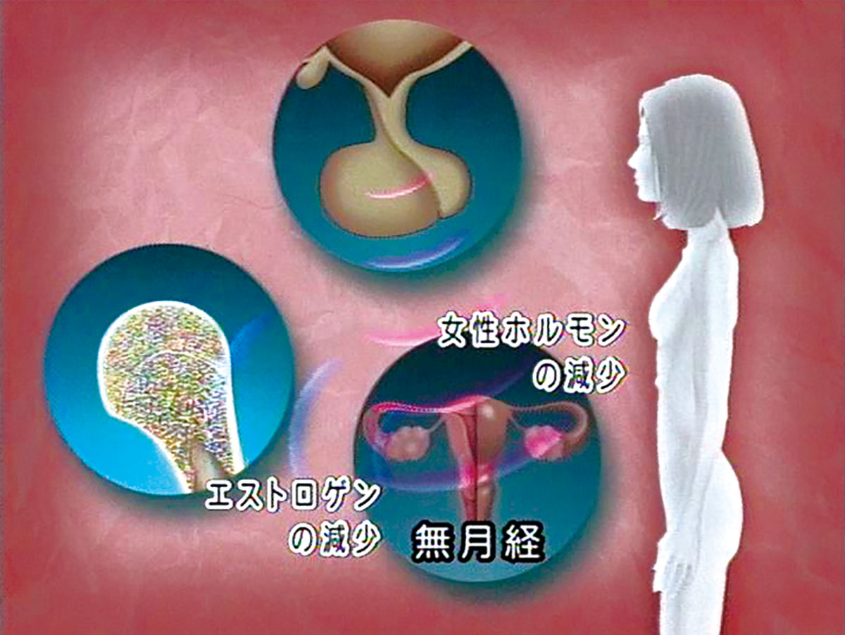 各巻の番組イメージ