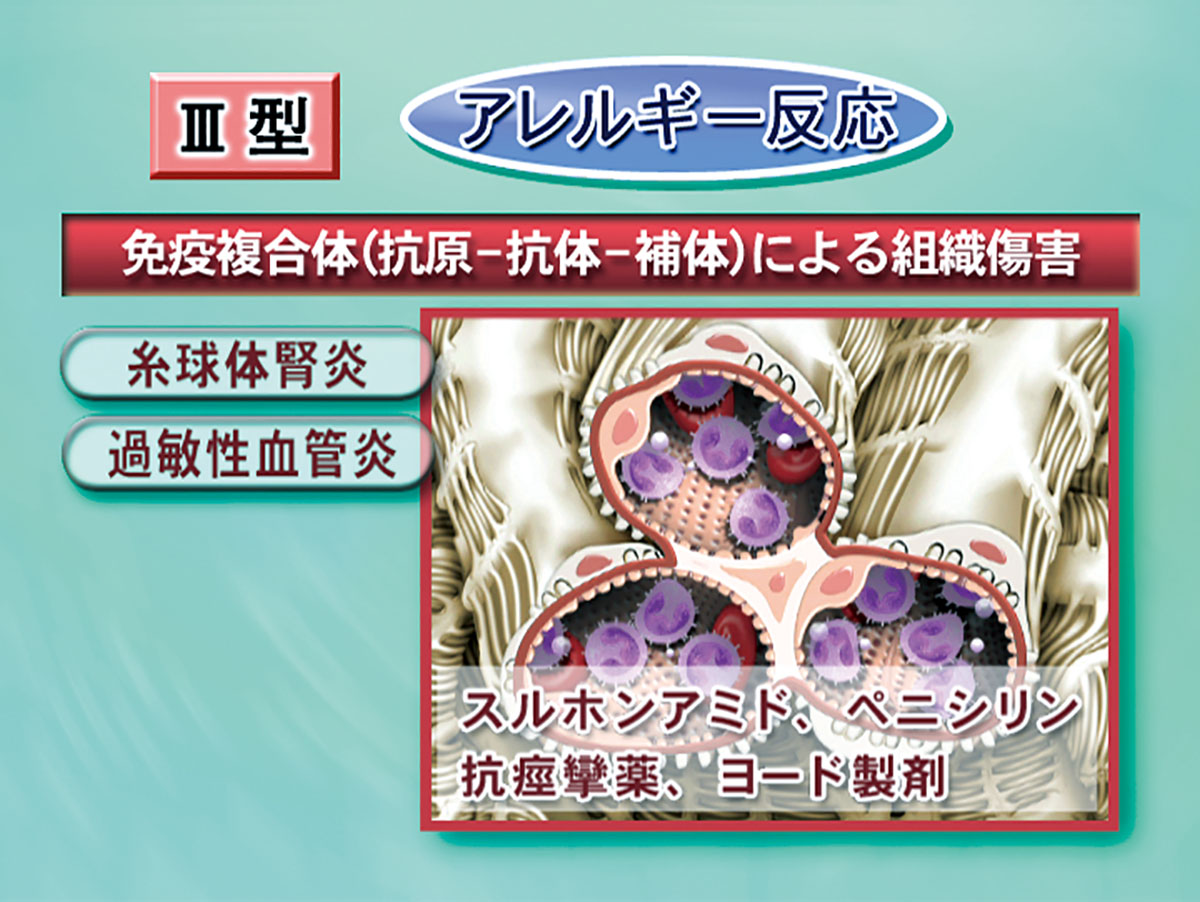 各巻の番組イメージ