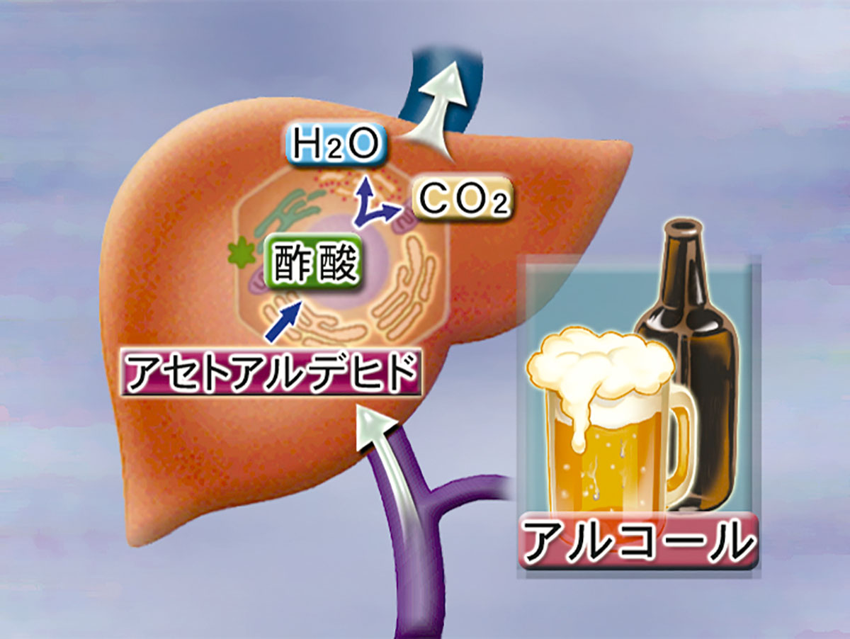 各巻の番組イメージ
