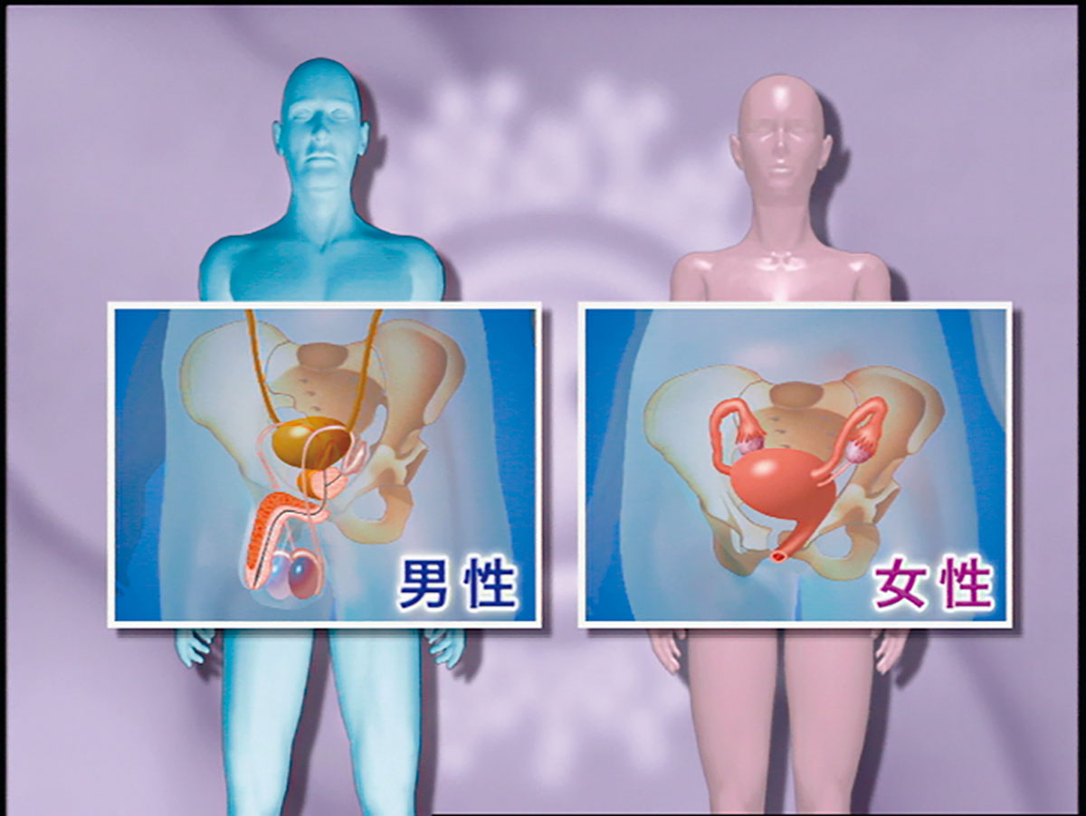 各巻の番組イメージ