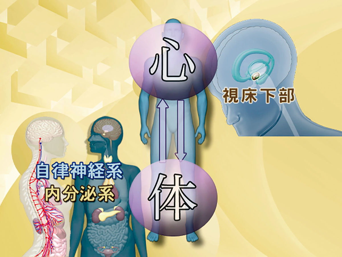 各巻の番組イメージ