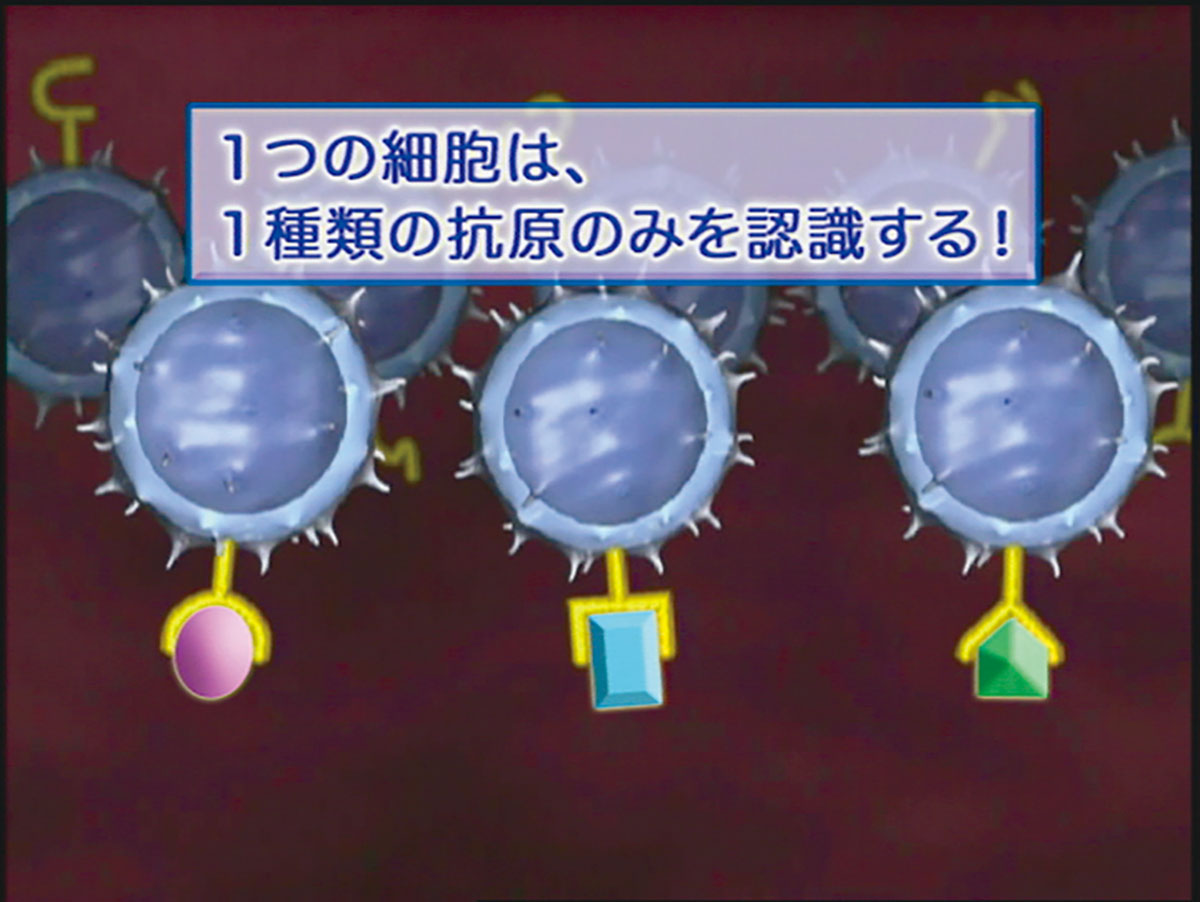 各巻の番組イメージ