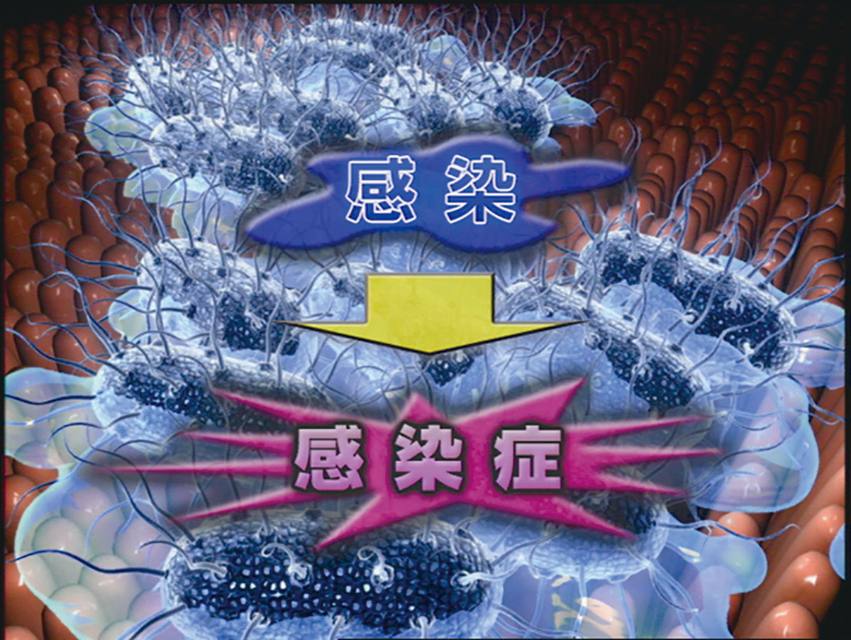 各巻の番組イメージ