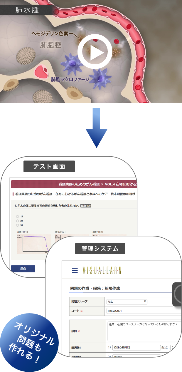動画でインプット!確認テストでアウトプット!