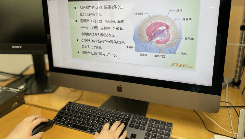 研修に合わせたオリジナルの教材（動画）制作